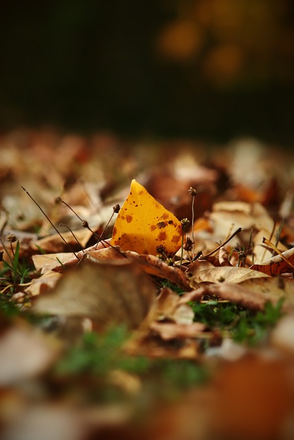 反击同样极 反击同样极