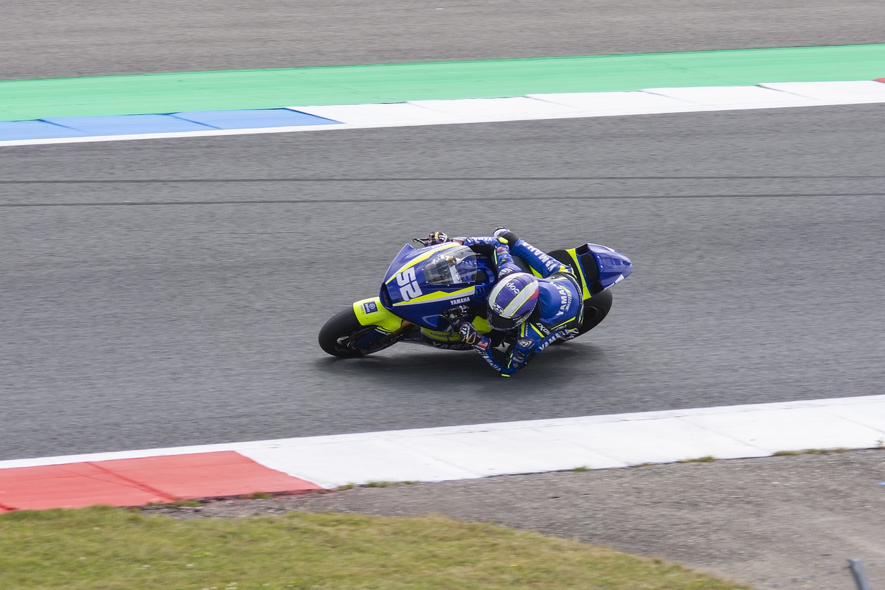 的选择向我 的选择向我