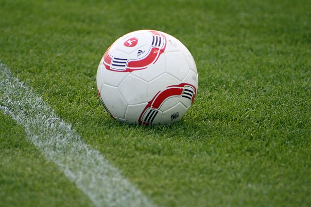 国际乒联成立工作组 收集运动员反馈意见.