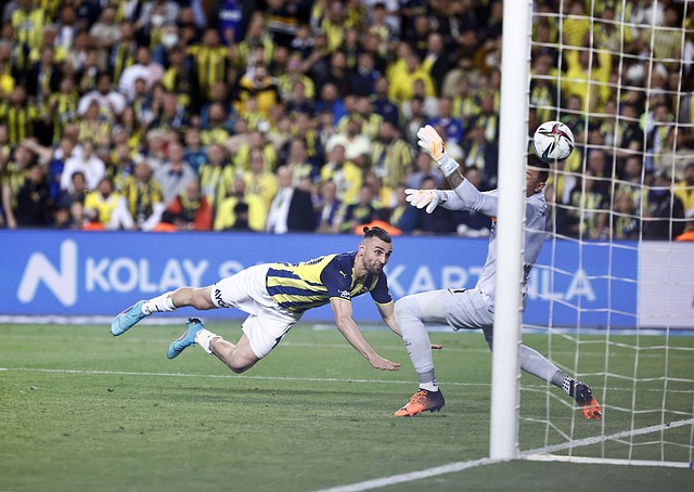 略是正确的 略是正确的