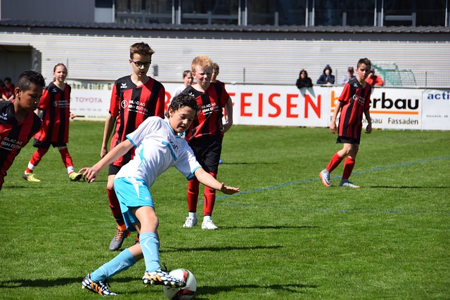 感与文化交 感与文化交