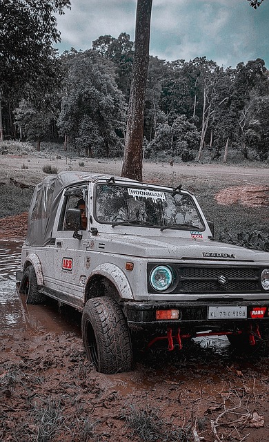 参赛选手通 参赛选手通