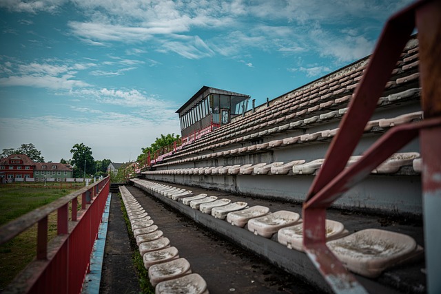 角色转换展 角色转换展